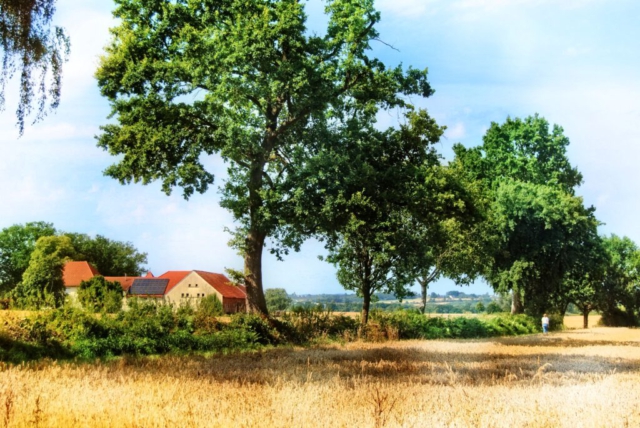 Feldweg
